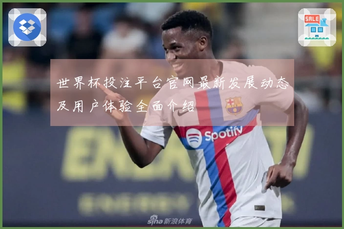 世界杯投注平台官网最新发展动态及用户体验全面介绍
