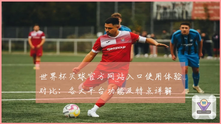 世界杯买球官方网站入口使用体验对比：各大平台功能及特点详解